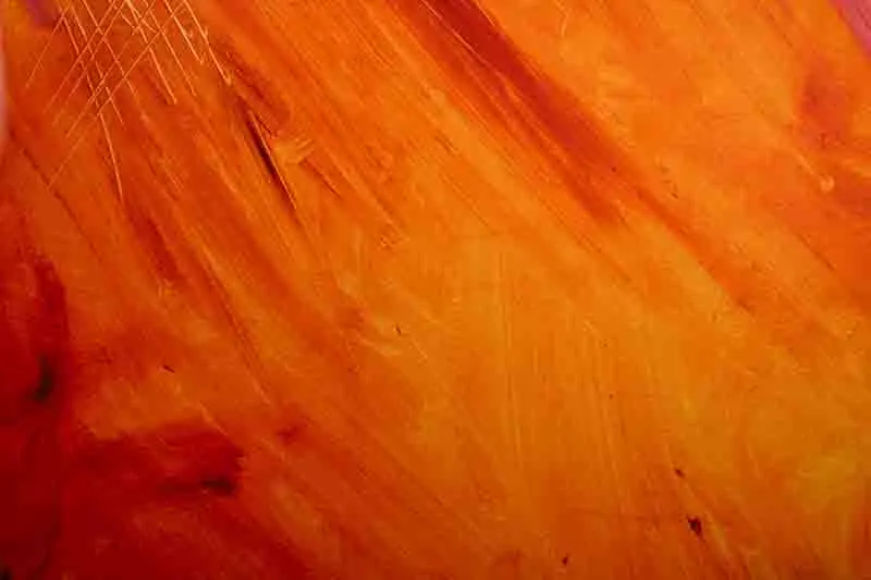 Molten Sunset Glow